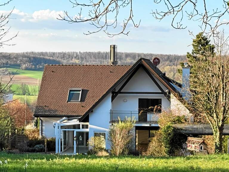 Réf: 11158*** Leymen / frontière CH-Biel-Benken: Villa env. 220 m² — photo 1