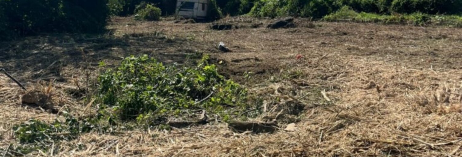 Terrain  1300 m² à vendre à Liebsdorf (68480)