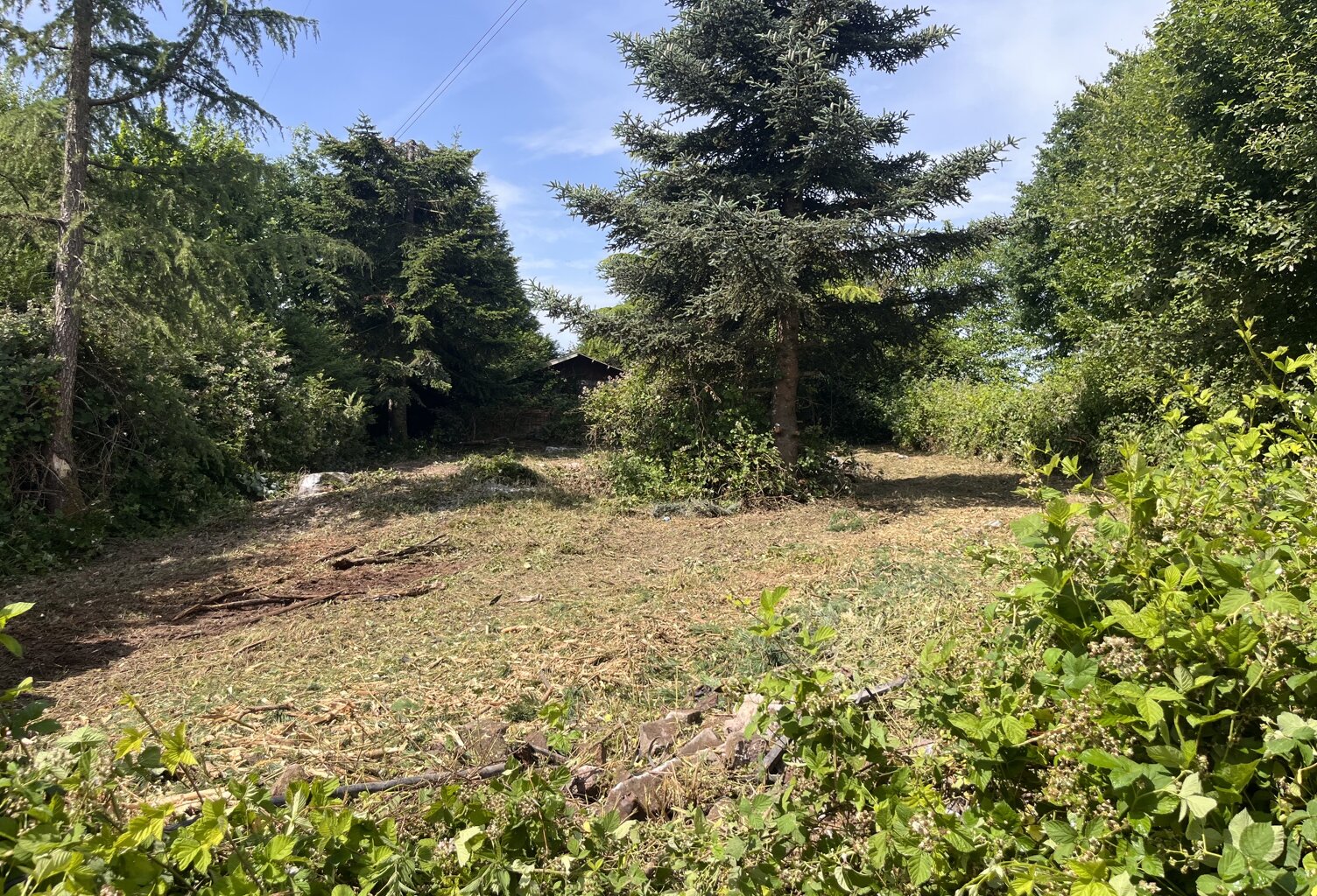 Réf: 11152*** Sect. Ferrette (à 10 min):  Magnifique terrain de 13 ares dont env. 7,5 ares de constructible  — photo 1