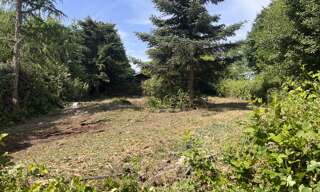 Terrain  1300 m² à vendre à Liebsdorf (68480)