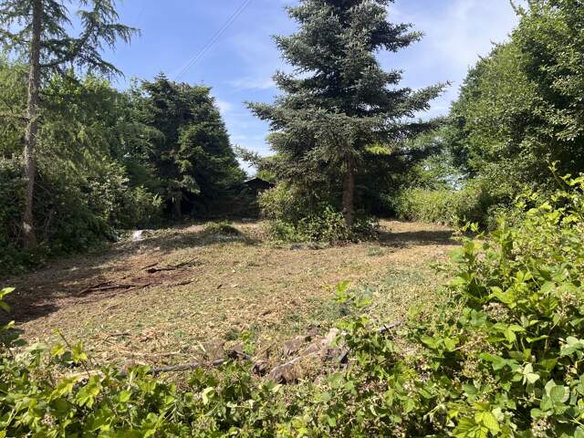 Réf: 11152*** Sect. Ferrette (à 10 min):  Magnifique terrain de 13 ares dont env. 7,5 ares de constructible — photo du bien