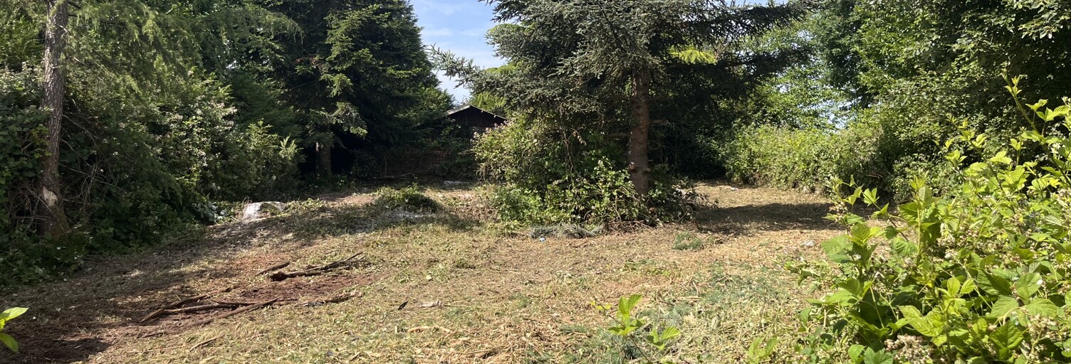 Terrain  1300 m² à vendre à Liebsdorf (68480)
