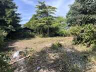 Réf: 11152*** Sect. Ferrette (à 10 min):  Magnifique terrain de 13 ares dont env. 7,5 ares de constructible  — photo 2