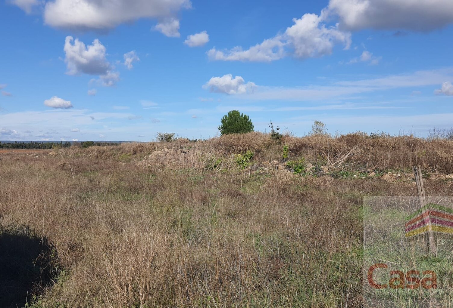 Terrain — photo 1