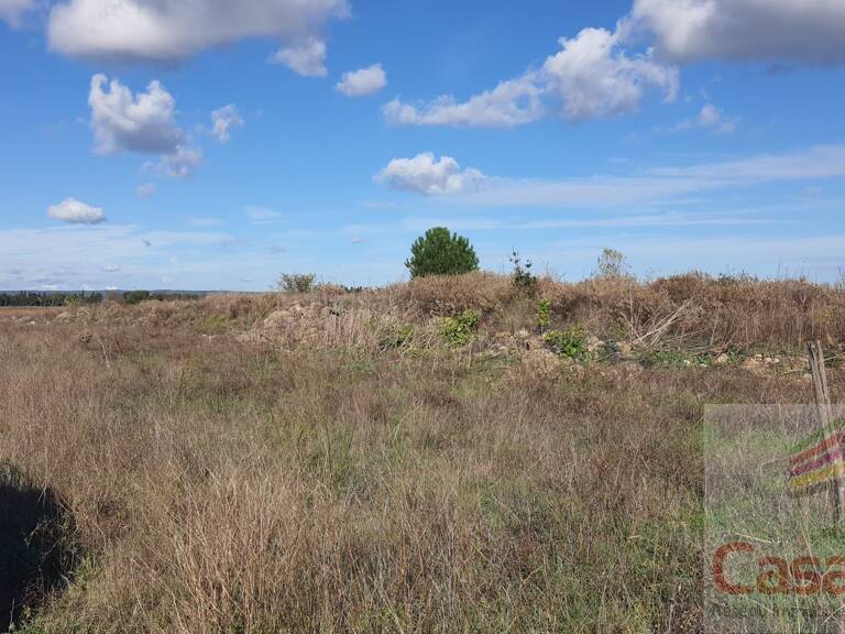 Terrain — photo 1