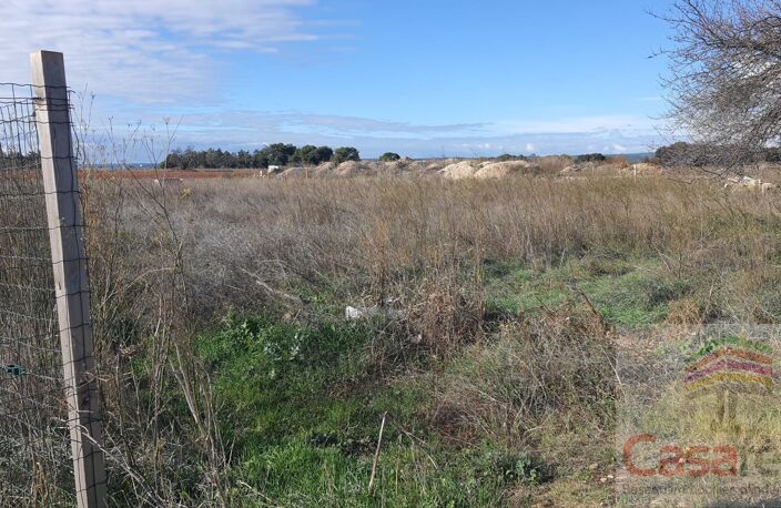 Terrain — photo 2