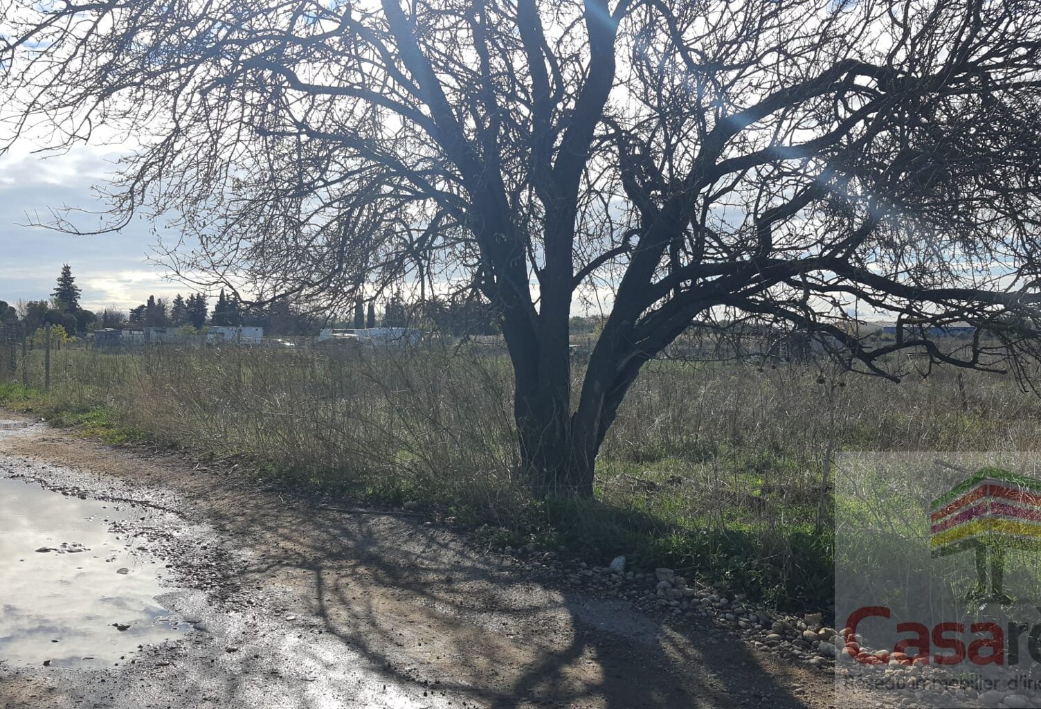 Terrain — photo 1