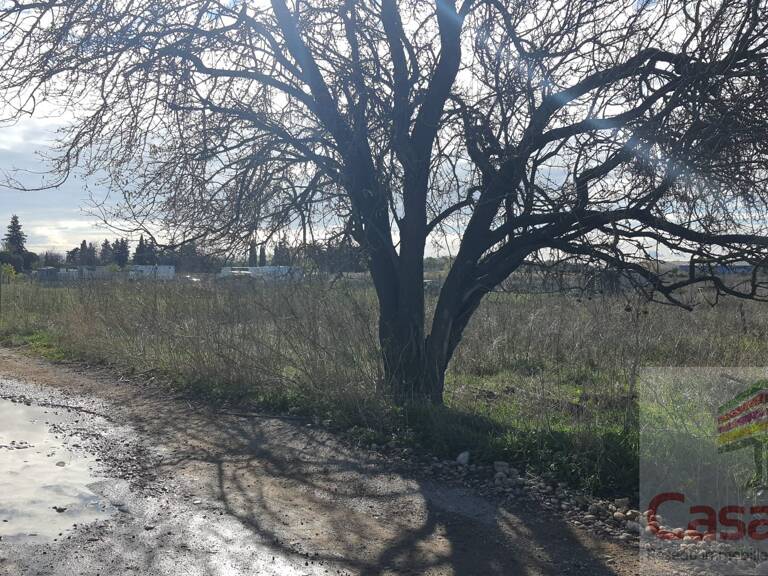 Terrain — photo 1