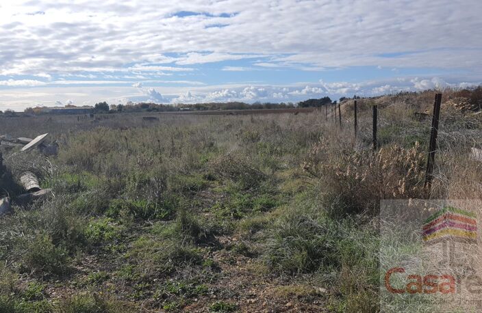 Terrain — photo 3