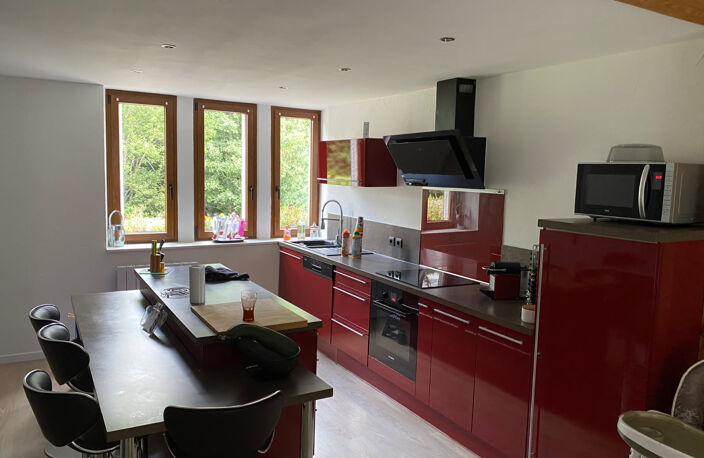 SENONES (Vosges) MAISON DE 137m2 — photo 5