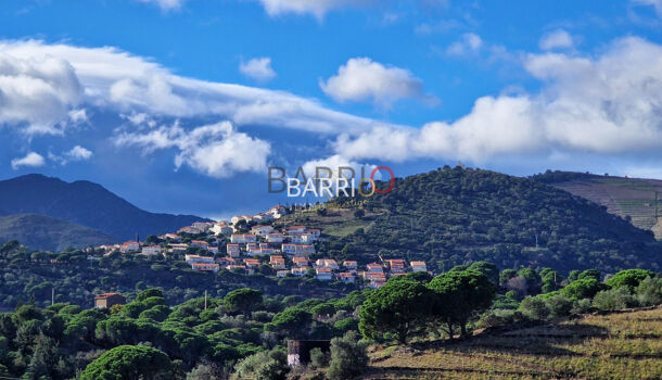 Villa / Maison 10 pièces  à vendre Banyuls-sur-Mer 66650