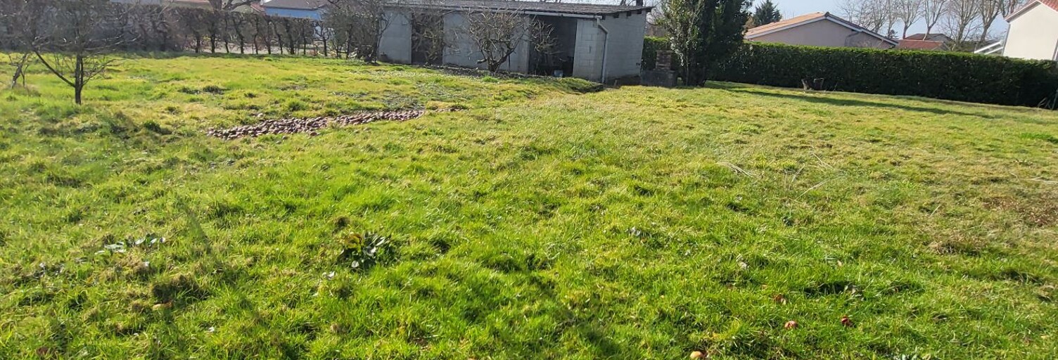 Terrain  1170 m² à vendre à Pont-de-Vaux (01190)