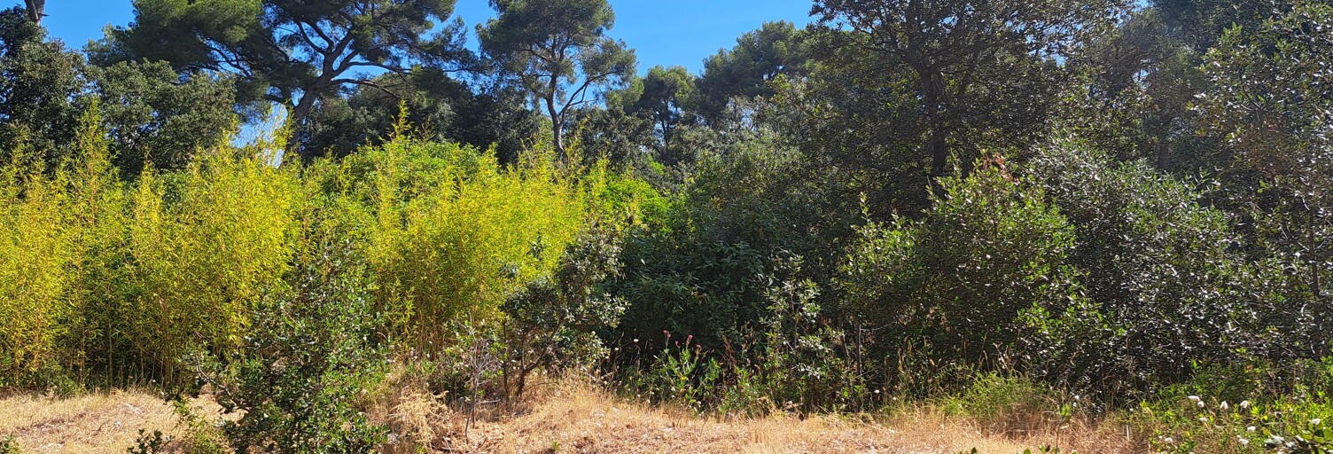 Terrain 506 m² à construire Martigues (13500)