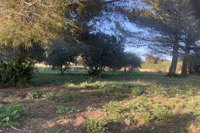 Terrain  234000 €