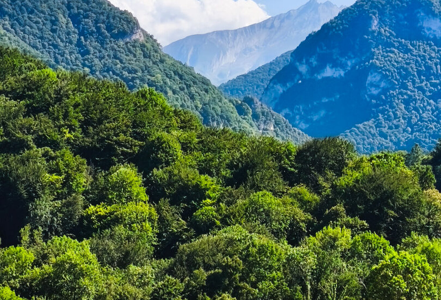 ARTHEZ D'ASSON : Terrain constructible de 1395m2 avec vue imprenable sur les Pyrénées — photo 1