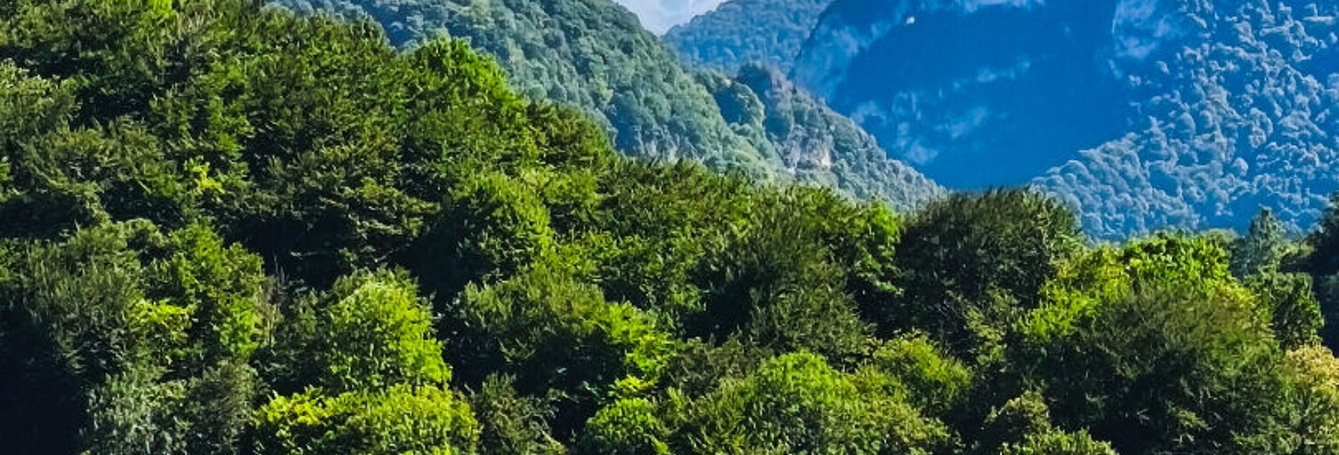 Terrain  2515 m² à vendre à Arthez-d'Asson (64800)