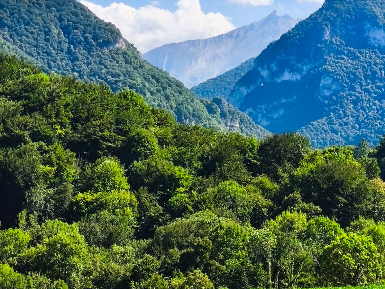 ARTHEZ D'ASSON : Terrain constructible de 1395m2 avec vue imprenable sur les Pyrénées — photo 1