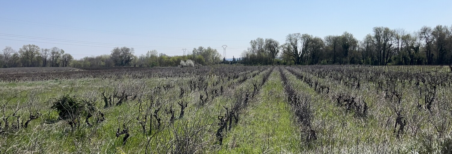 Terrain  5975 m² à vendre à Codolet (30200)