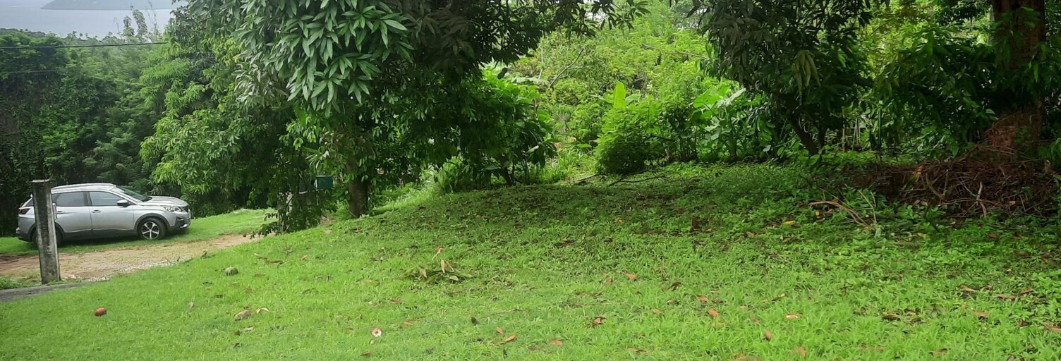 Terrain  675 m² à vendre à Le Robert (97231)