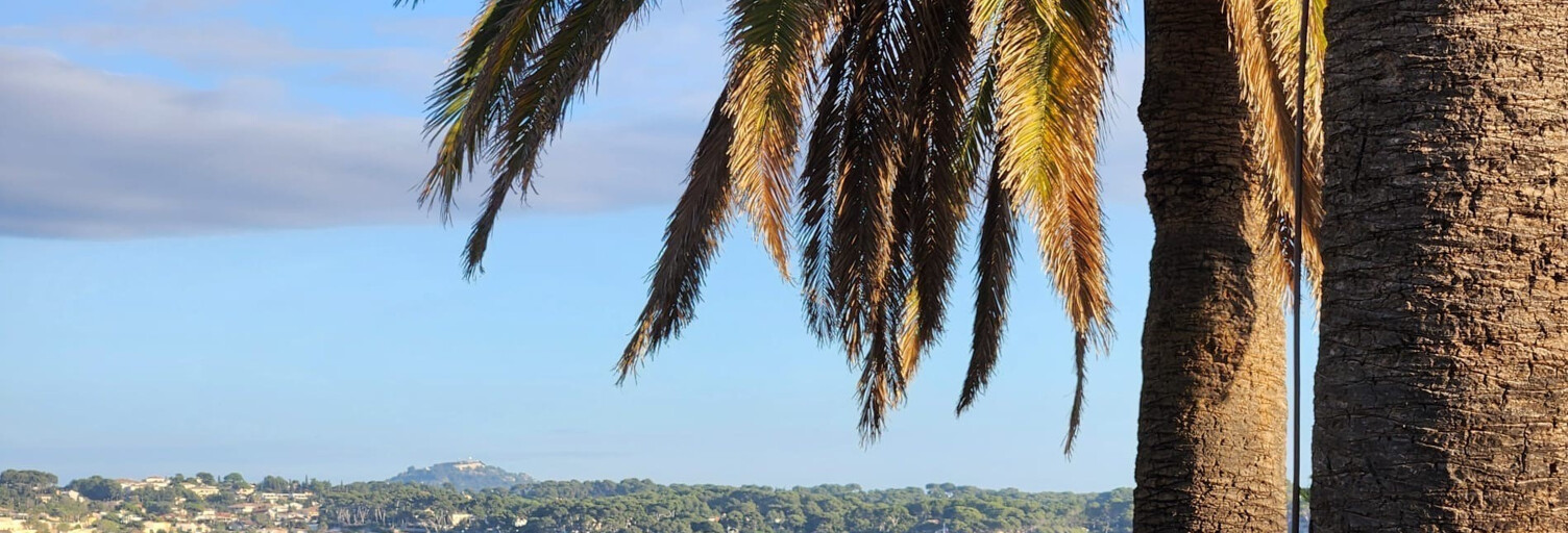 Maison 7 Pièces 240 m² à vendre à Bandol (83150)