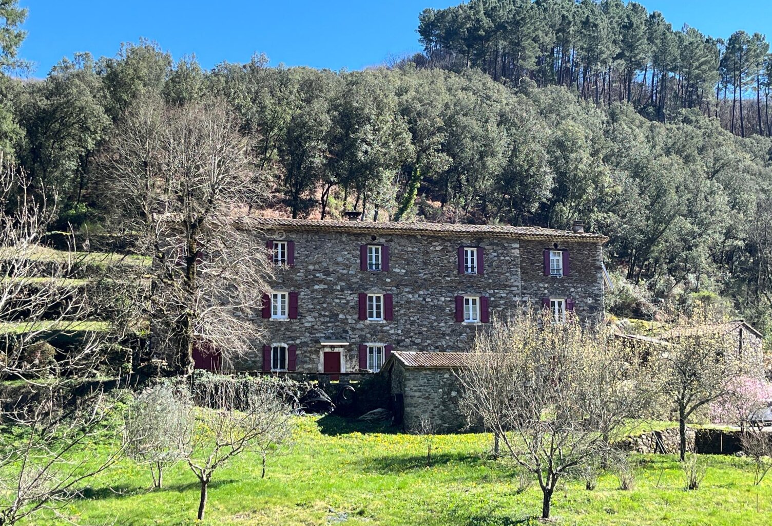 Mas Cevenol — photo 1