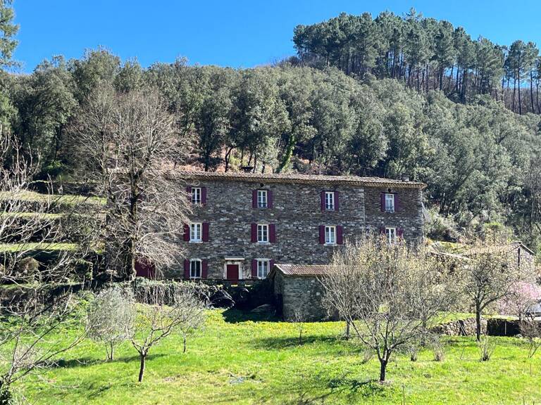 Mas Cevenol — photo 1