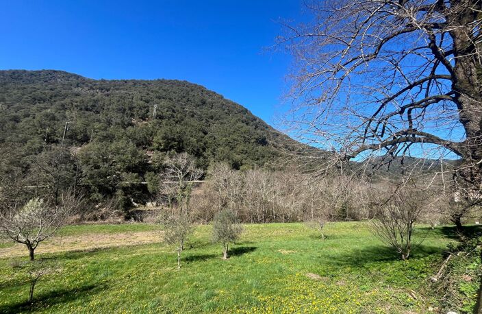 Mas Cevenol — photo 3