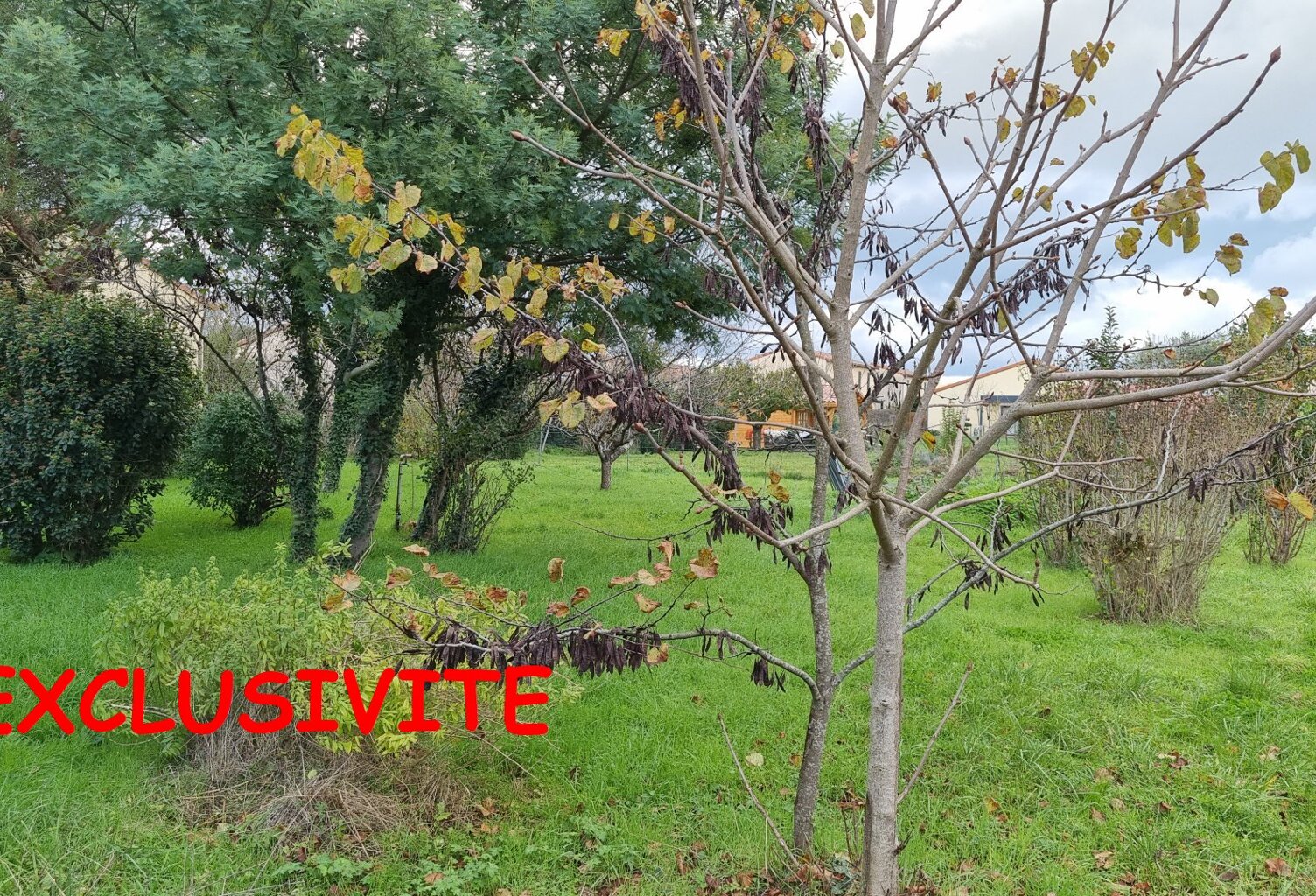 Terrain diffus (hors lotissement) — photo 1