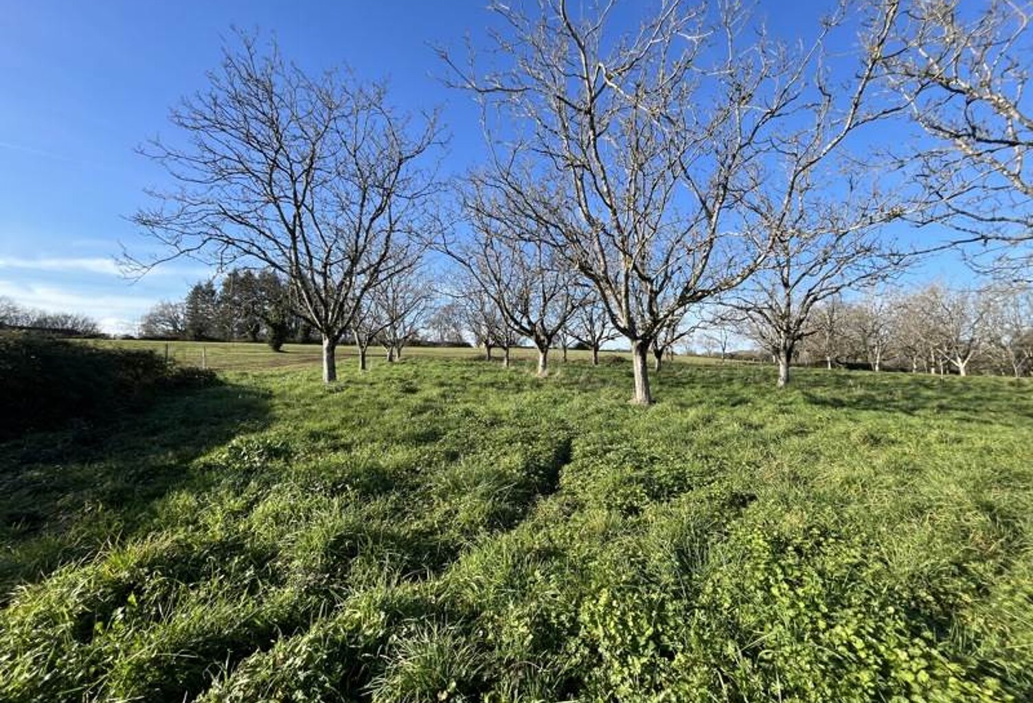 Terrain à bâtir de 0 pièces principales — photo 1