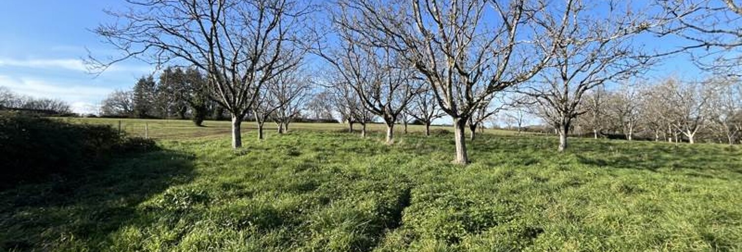 Terrain  1328 m² à vendre à Liourdres (19120)