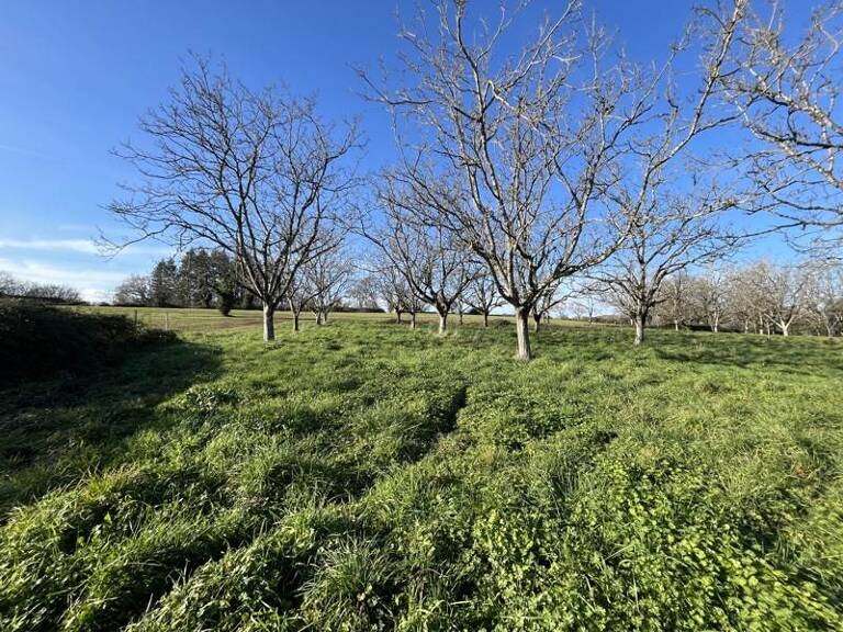 Terrain à bâtir de 0 pièces principales — photo 1