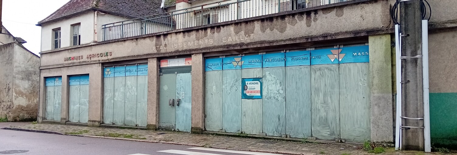 Immeuble  980 m² à vendre à Égreville (77620)