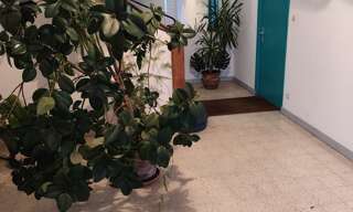 Immeuble  271 m² à vendre à Contrexéville (88140)