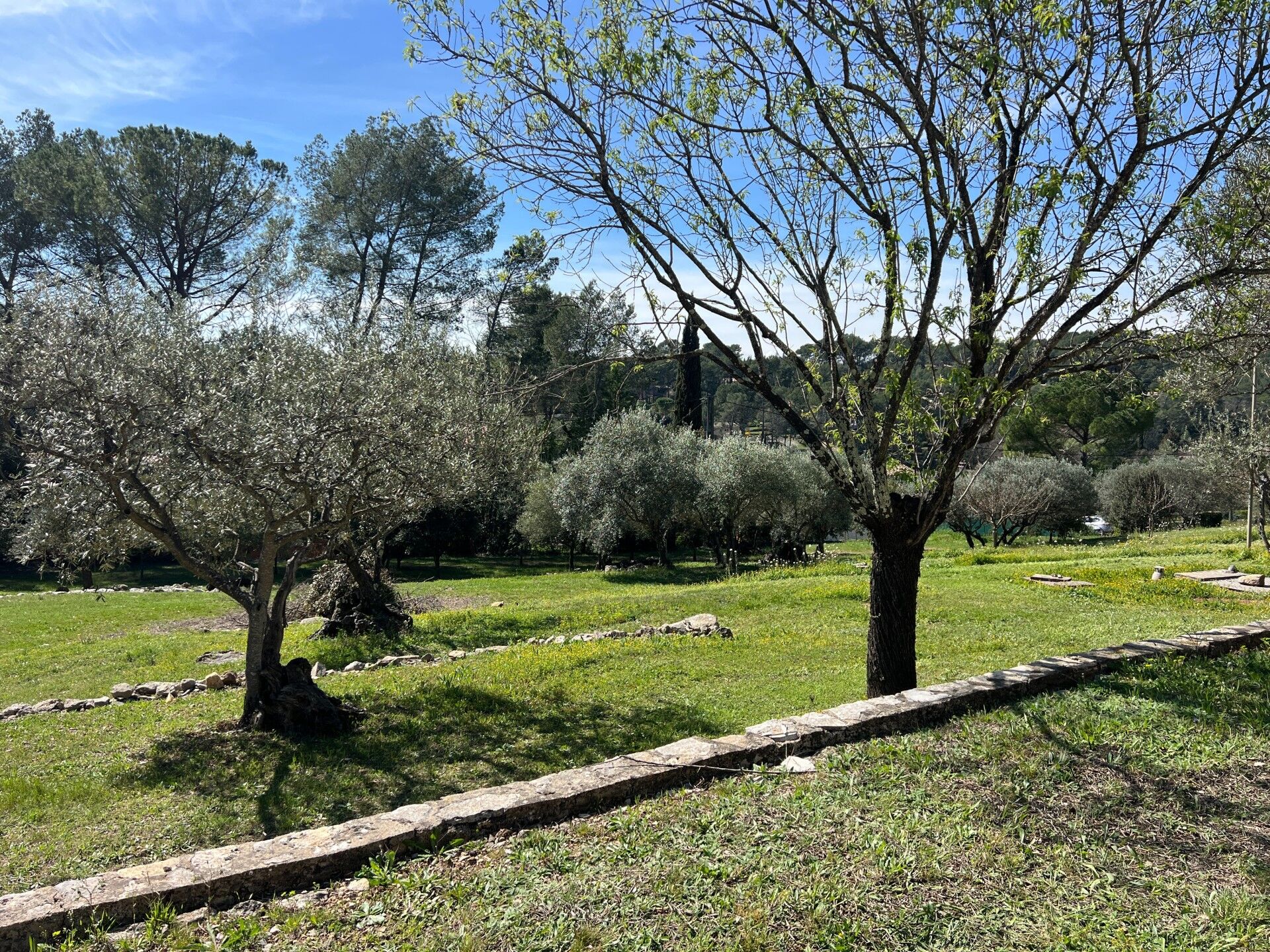 Lorgues Terrain 168 m²