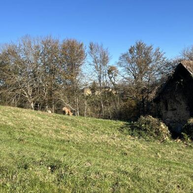 Maison 1 pièces 124890 €