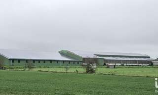 Commerce  4500 m² à vendre à Beaufou (85170)