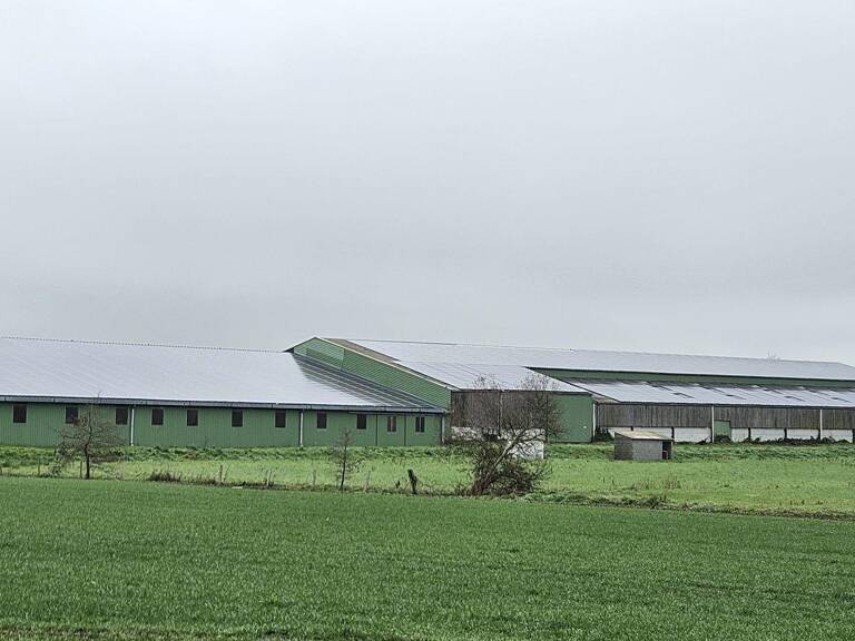 Vente Hangar 4 500 m&sup2; — photo 1