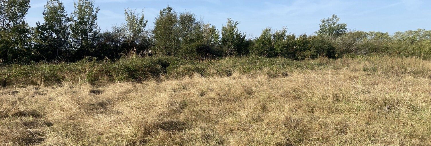 Terrain  4021 m² à vendre à Castelsarrasin (82100)