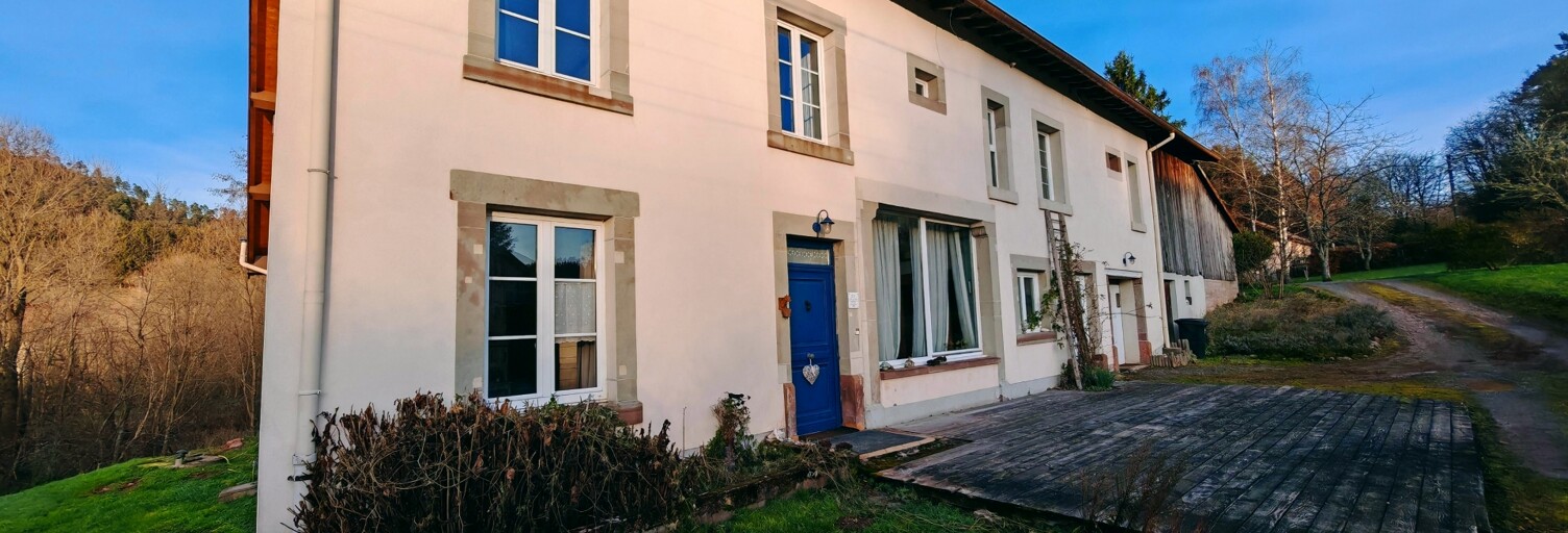 Maison 8 Pièces 222 m² à vendre à Taintrux (88100)
