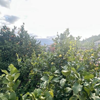 Maison 5 pièces 570000 €