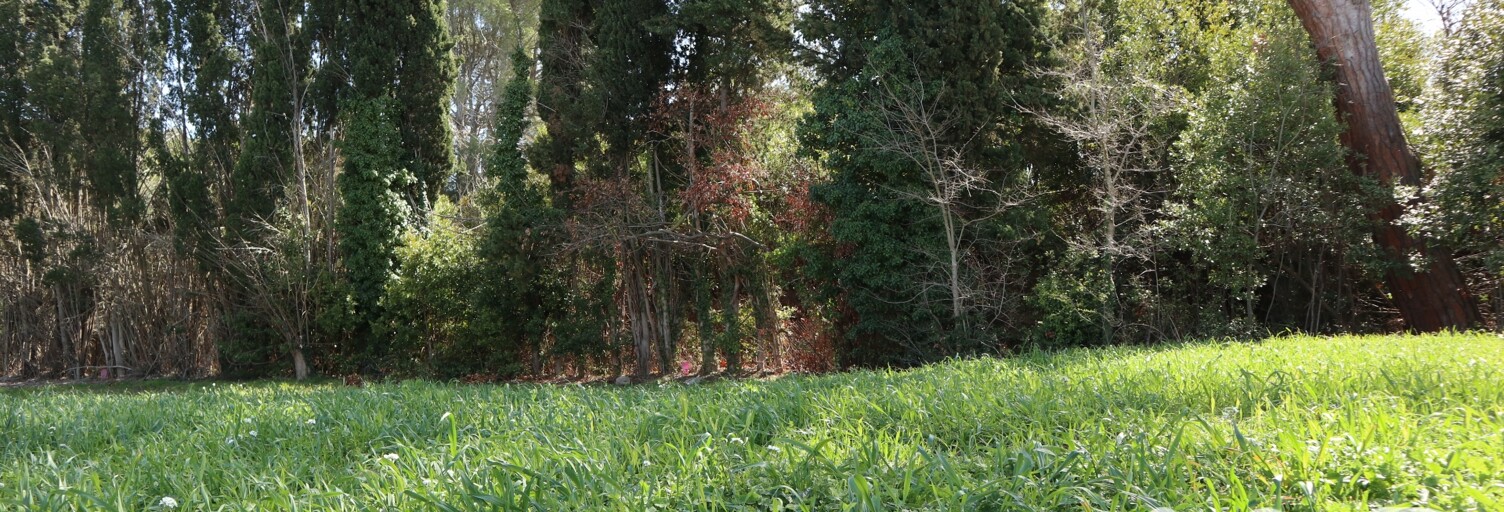 Terrain  614 m² à vendre à Escales (11200)