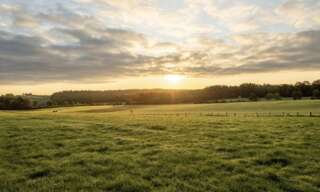 Terrain  850 m² à vendre à Gujan-Mestras (33470)