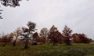 Terrain  2200 m² à vendre à Eyraud-Crempse-Maurens (24140)