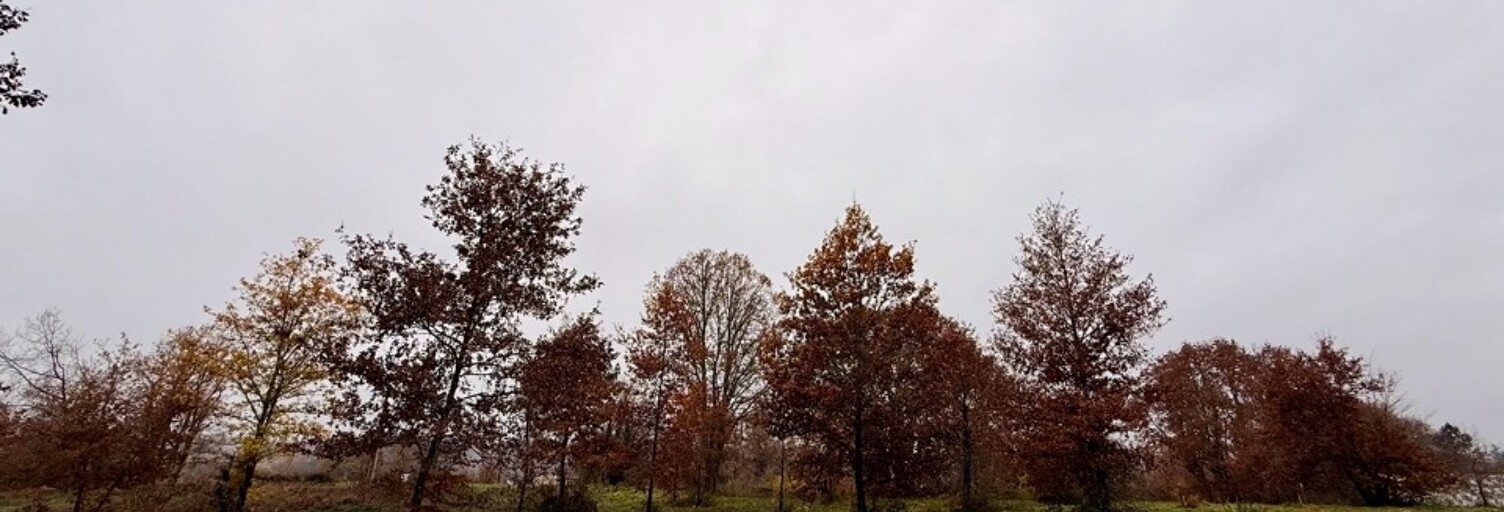 Terrain  2200 m² à vendre à Eyraud-Crempse-Maurens (24140)