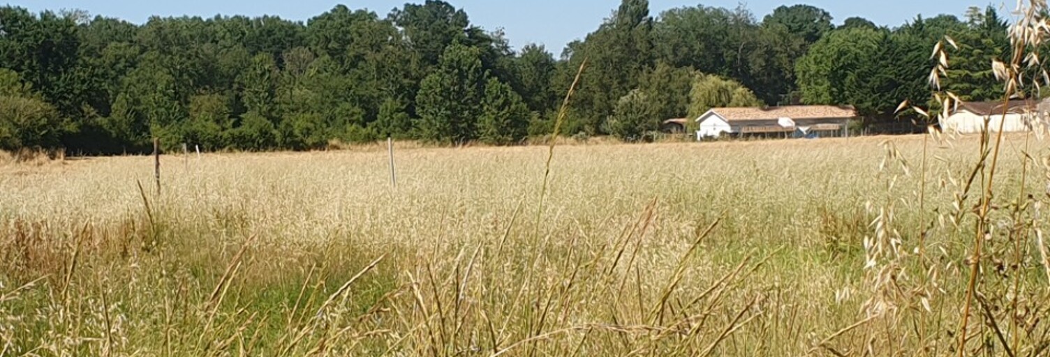 Terrain  600 m² à vendre à Saint-Christoly-de-Blaye (33920)