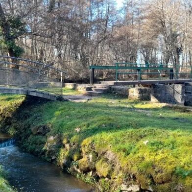 Appartement 1 pièces 530 €