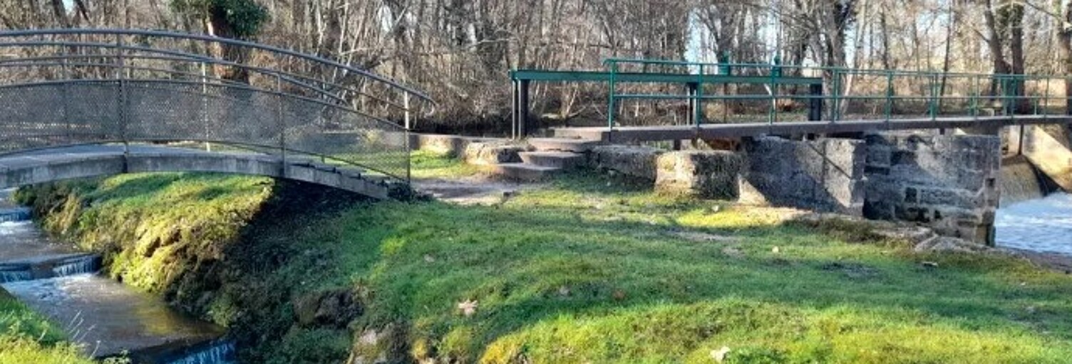 Appartement 1 Pièce 15 m² à louer à Canéjan (33610)