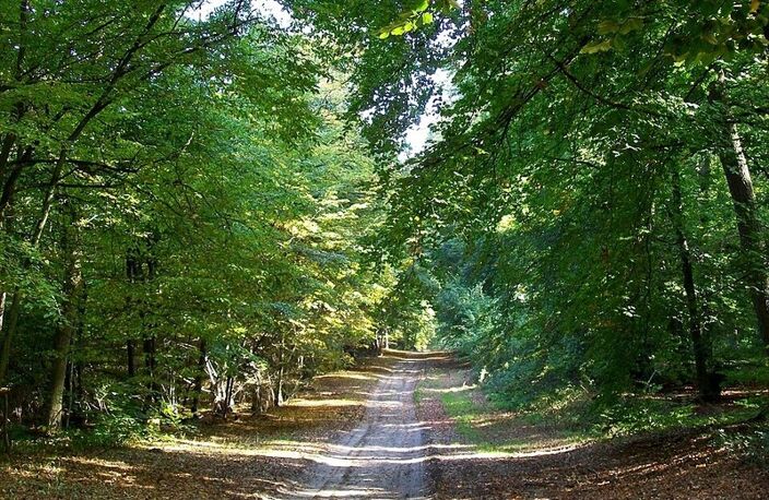 Terrain à vendre de 640,00 m² VERNEUIL EN HALATTE (60) — photo 3