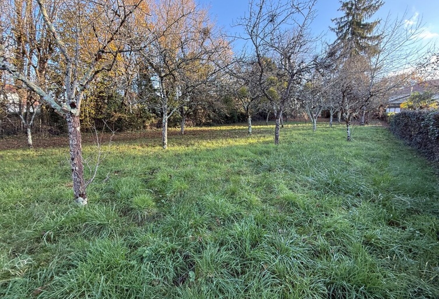 Beau Terrain de 800 m² Saint Benoit — photo 1