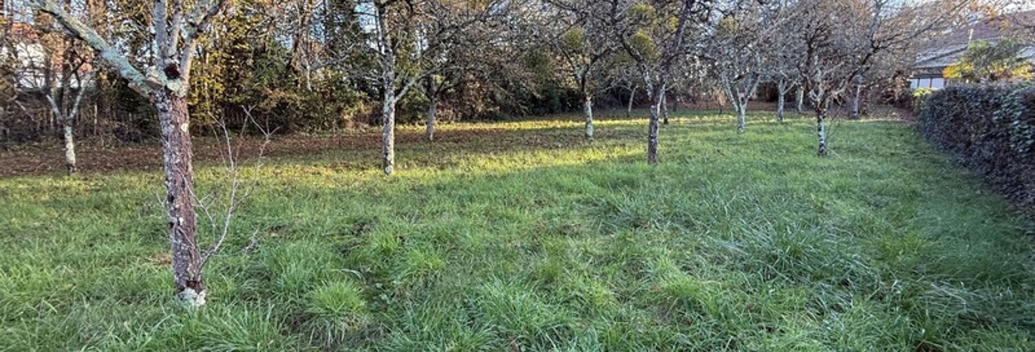 Terrain  800 m² à vendre à Saint-Benoît (86280)